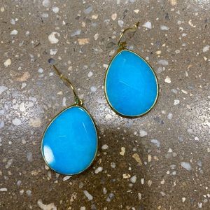 Beautiful Stella and Dot Earrings!